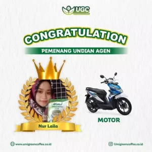 motor-1
